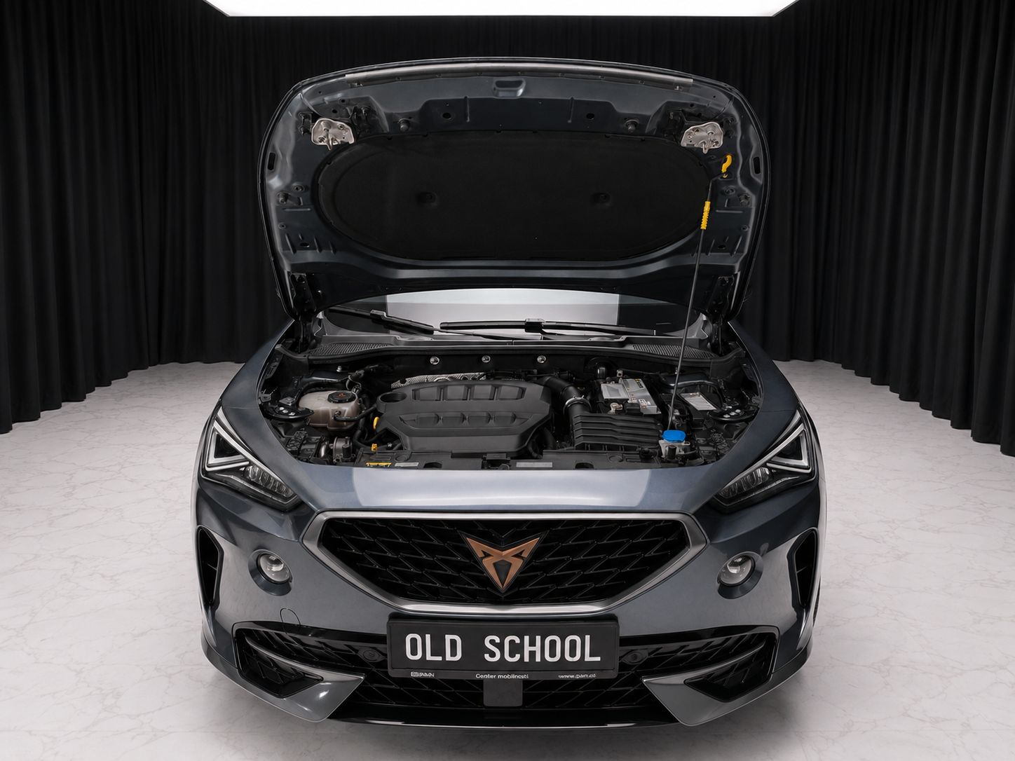 Cupra FORMENTOR VZ 310 4Drive DSG