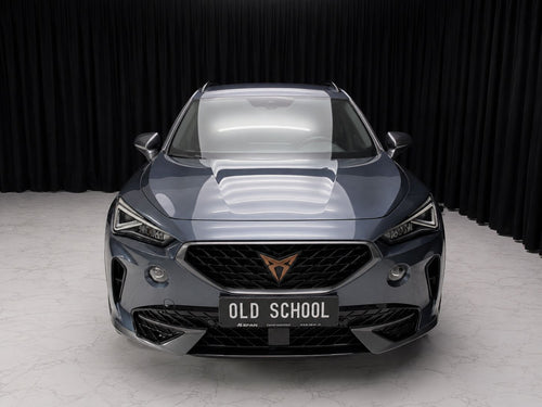 Cupra FORMENTOR VZ 310 4Drive DSG